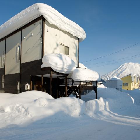 Birch Grove Edits - Feb 9th 2011